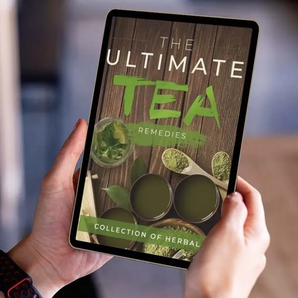 Sugar Defender Balanced Energy Meal Planning Guide
