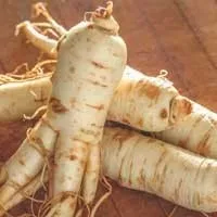 Sugar Defender Ginseng antioxidant nutrition ingredient