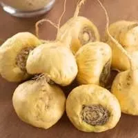 Sugar Defender Maca Root natural energy focus ingredient